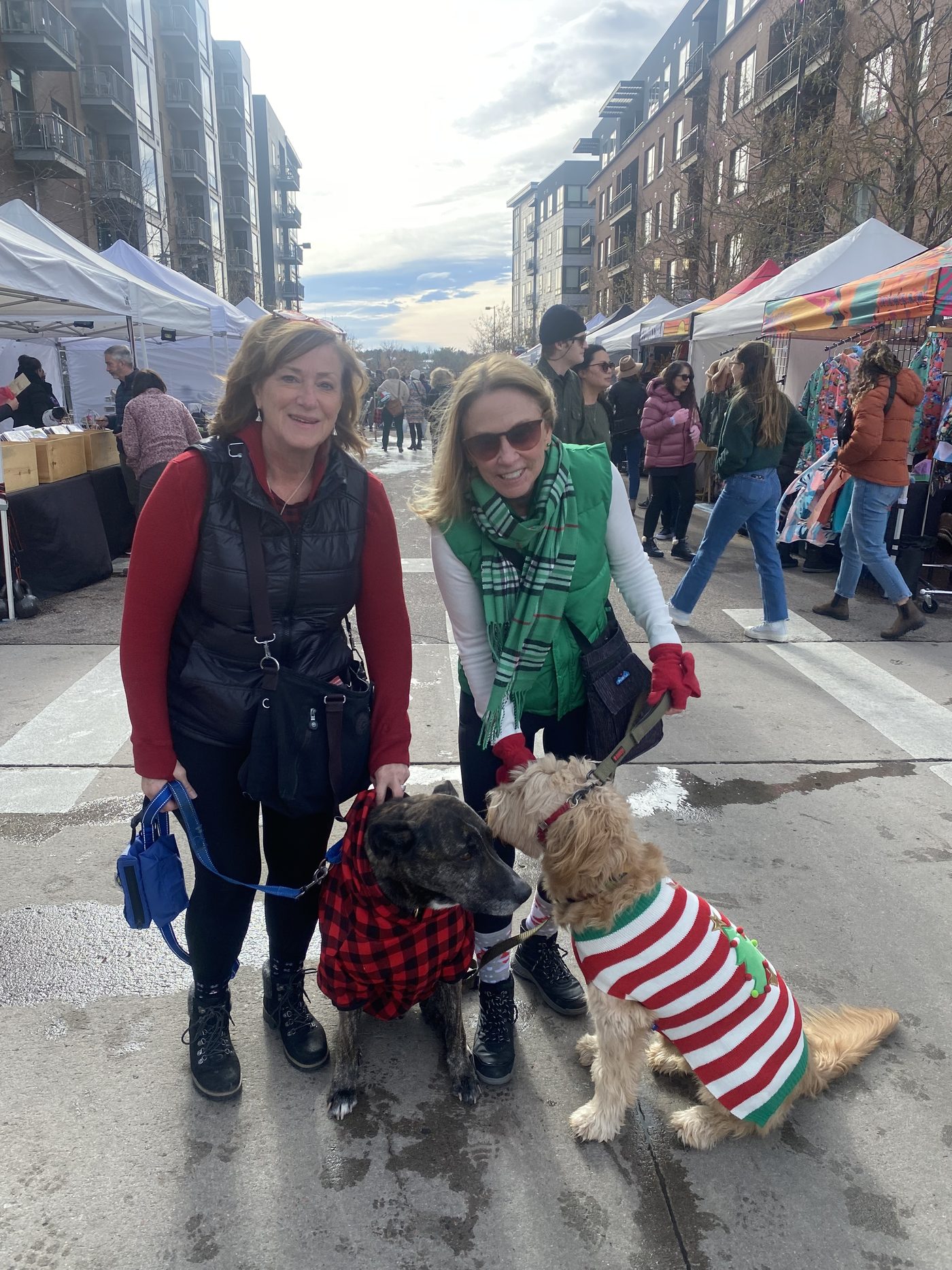 Two dogs in holiday sweaters at Holiday BAZAAR